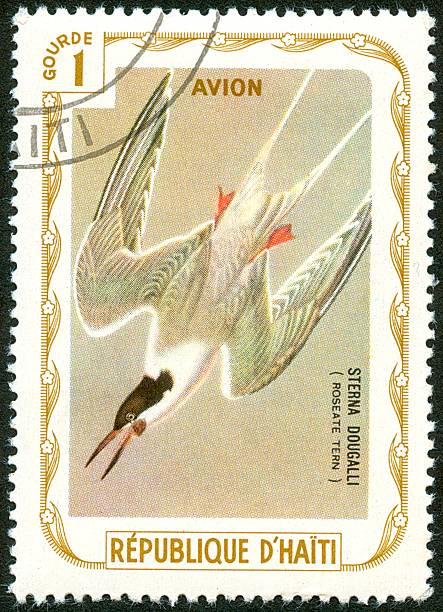 istock Postage stamp of Roseate Tern 471141439