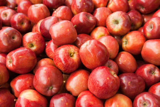 Fresh red apples from the market stock photo