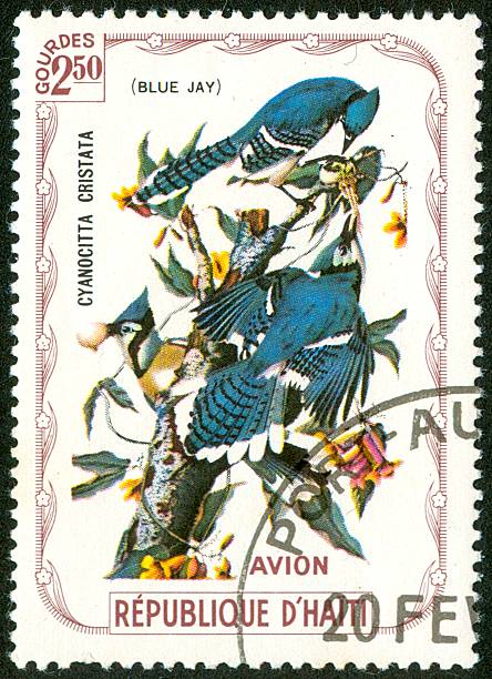 istock Postage stamp of Blue Jay 471141955