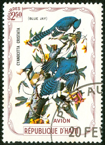State birds and flower postage stamps with some states missing