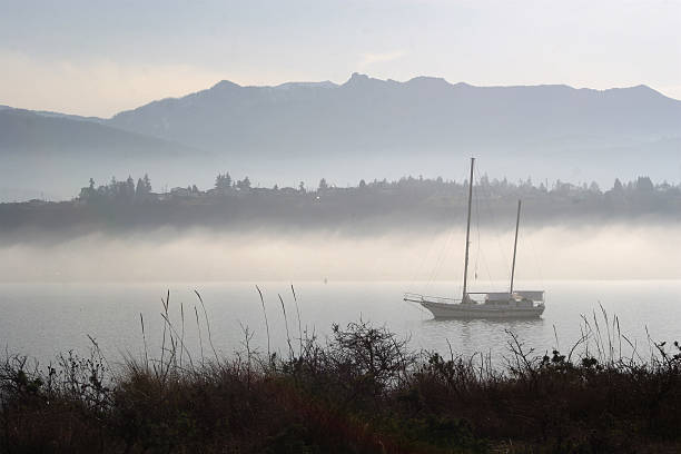 istock Lone Sailboat In The Fog 471143455