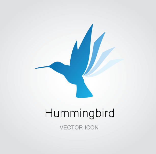 ilustraciones, imágenes clip art, dibujos animados e iconos de stock de colibrí símbolo - colibrí