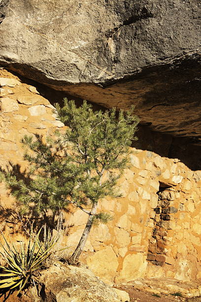 プエブロ穴居住居キャニオン遺跡 - walnut canyon ruins ストックフォトと画像