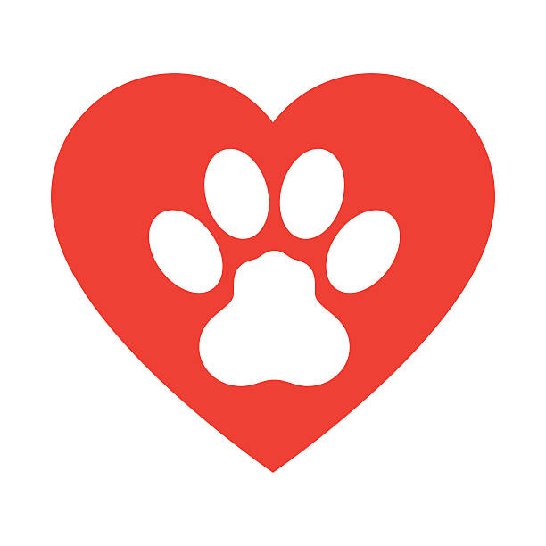 짐승 퍼 프린트 사랑입니다 심장-벡터 - heart shape animal heart love symbol stock illustrations