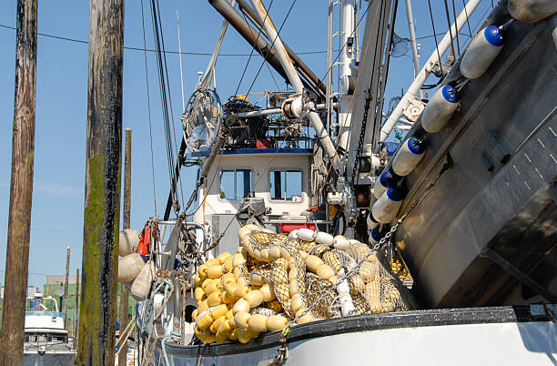 istock Ready To Go Fishing 471144290