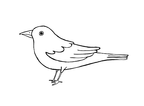 Black and white blackbird vector illustration