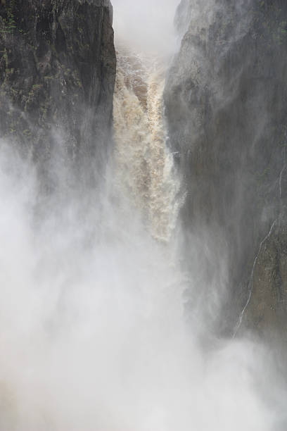 cascata - cairns monsoon queensland waterfall imagens e fotografias de stock