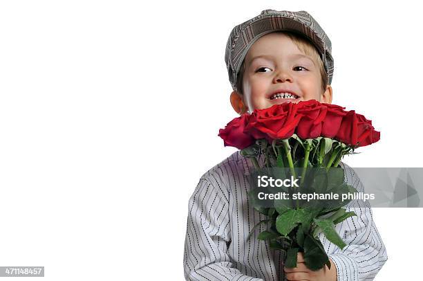 Cute Young Boy Holding A Dozen Red Roses Stock Photo - Download Image Now - Child, Valentine's Day - Holiday, Humor