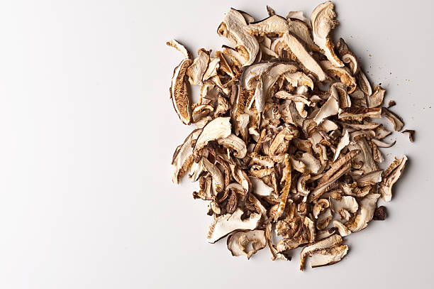 secchi funghi shiitake - shiitake mushroom mushroom dried food dried plant foto e immagini stock