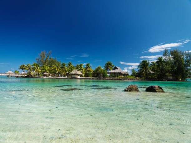 istock Summer Holiday Beach Paradise 471149293