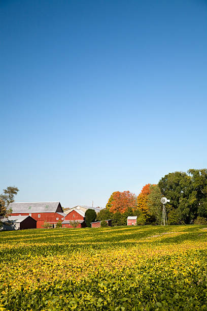 istock Farm with Windmill and Clear Sky 471149491