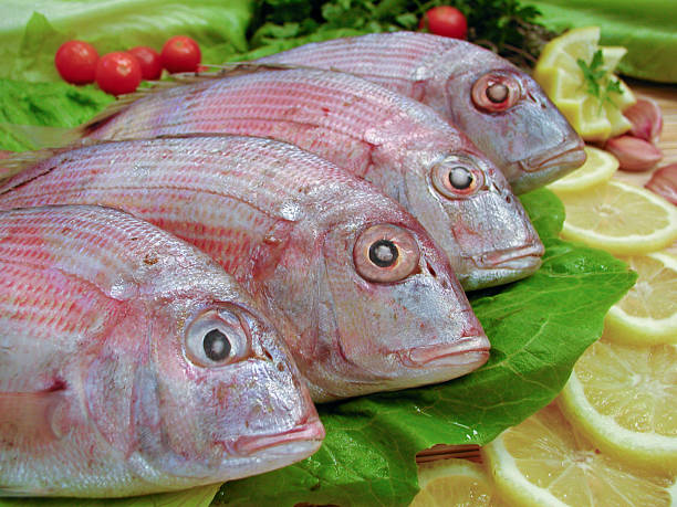 Totally fresh