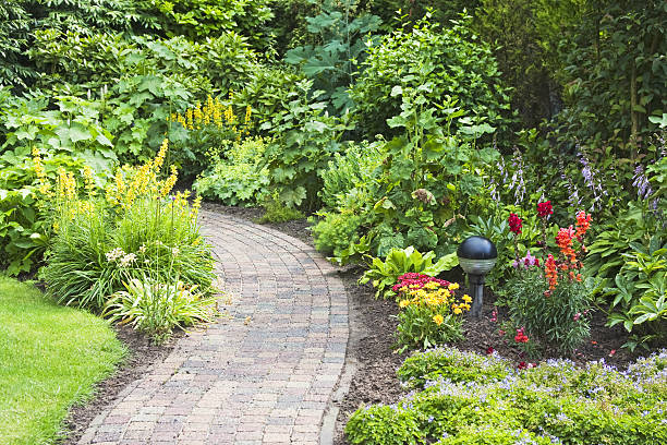 istock Garden flowers # 43 XL 471151969