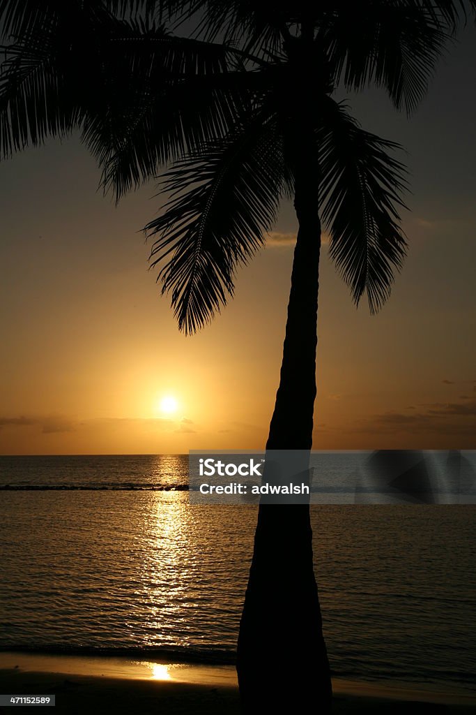 Sunset in Maui - Royalty-free Achtergrond - Thema Stockfoto Sunset in Maui - Royalty-free Achtergrond - Thema Stockfoto