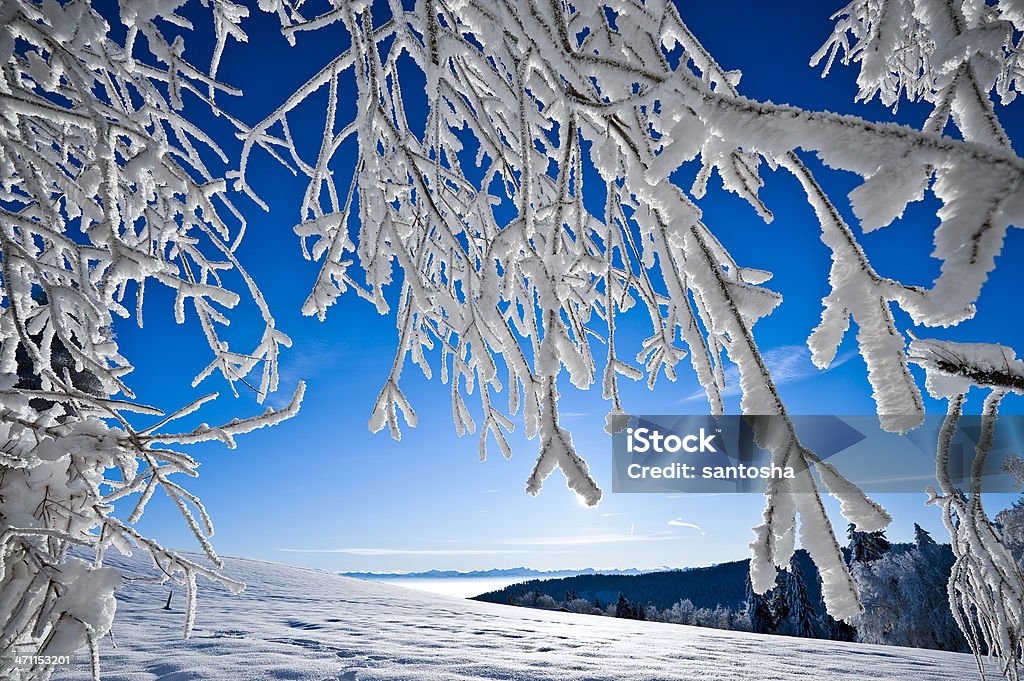 Derivación de invierno - Foto de stock de Aire libre libre de derechos