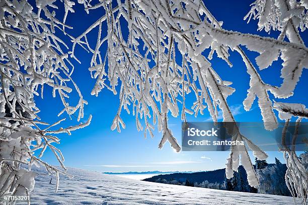 Derivación De Invierno Foto de stock y más banco de imágenes de Aire libre - Aire libre, Azul, Bosque