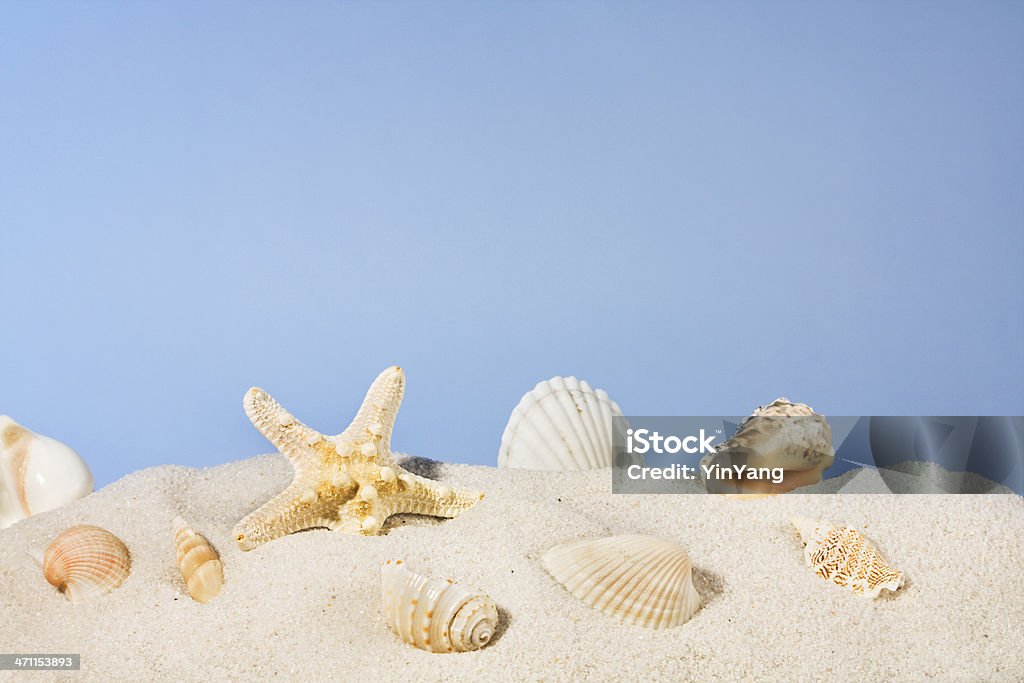 Seashells 해변에서 모래, 불가사리류 및 쉘은 Summer Sky 미만 - 로열티 프리 껍데기 스톡 사진