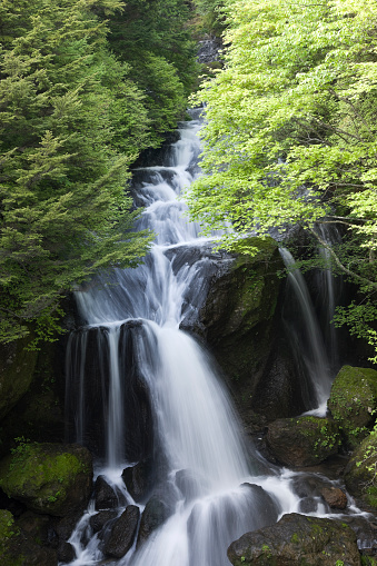  Ryuzu waterfall  in spring