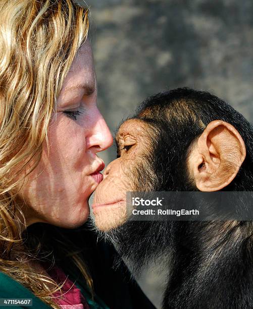 Photo libre de droit de Bébé Chimp Et De Manutention banque d'images et plus d'images libres de droit de Chimpanzé - Chimpanzé, Femmes, Embrasser