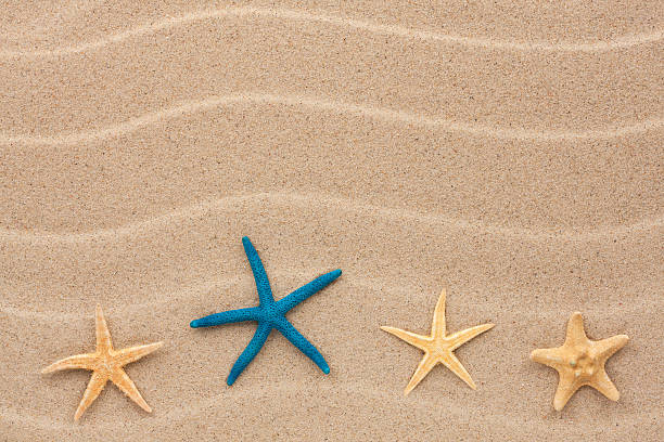 istock Starfish lie on the sand 471154900