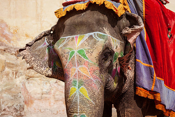 istock Painted elephant in Amber Fort, Jaipur, India 471155916