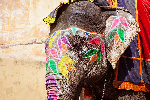 istock Painted elephant in Amber Fort, Jaipur, India 471155920