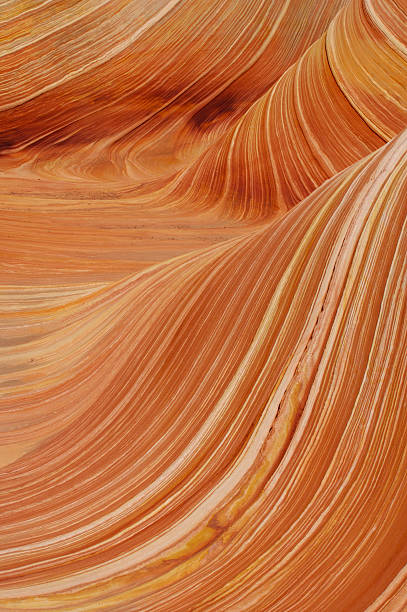 istock Close up of 