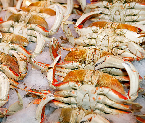 istock Fresh Crabs on Ice at Market 471157873