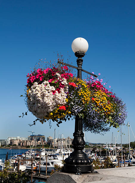 istock Victoria British Columbia 471157893