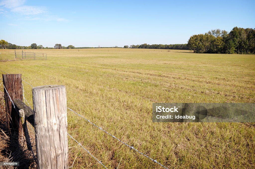 Cena Rural - Foto de stock de Arame farpado - Arame royalty-free