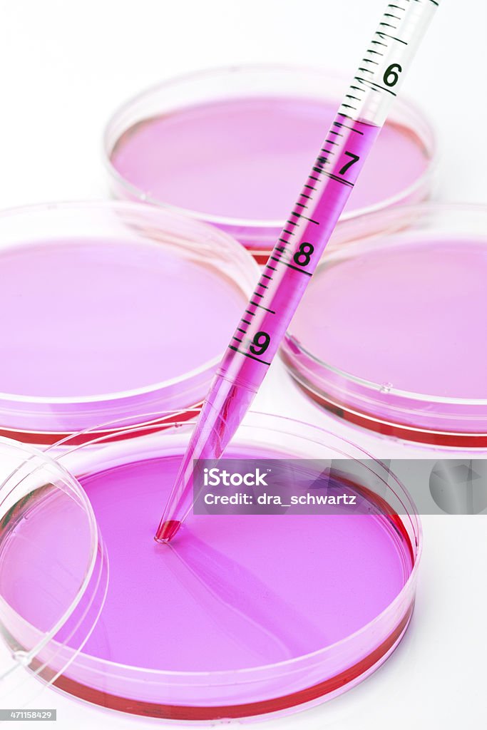 A investigação em células estaminais - Royalty-free Célula-tronco Foto de stock