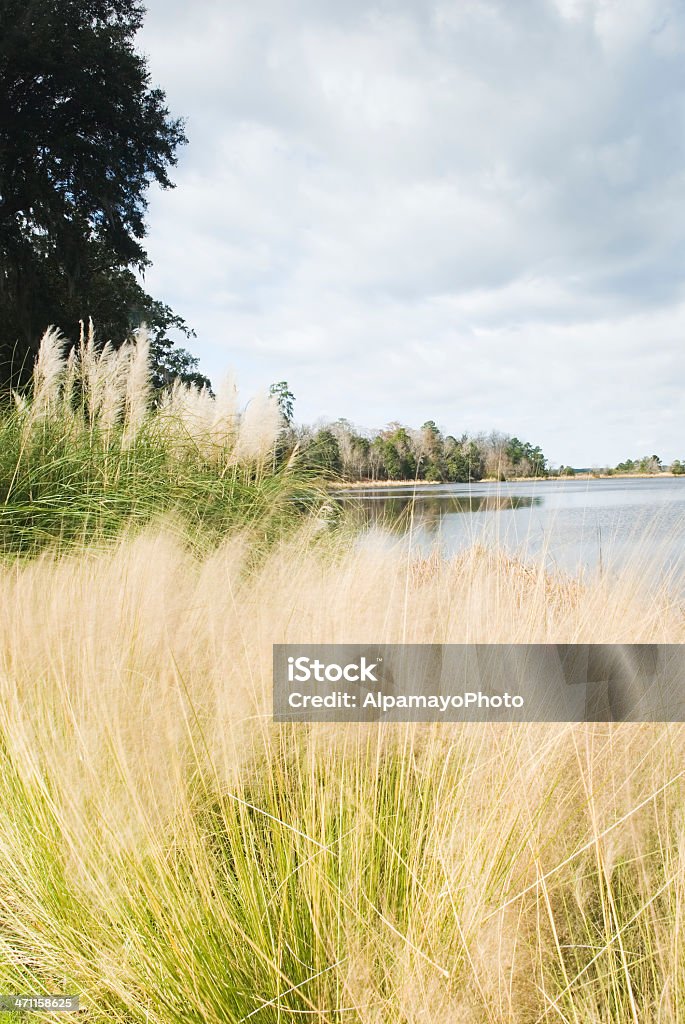 Panorama di piantagione (Middleton Place, SC)-I - Foto stock royalty-free di Carolina del Sud