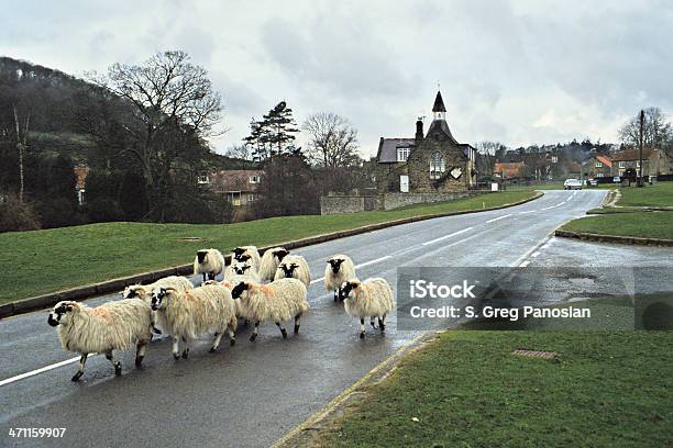 Rush Hour Stockfoto und mehr Bilder von Straßenverkehr - Straßenverkehr, Schaf, Dorf