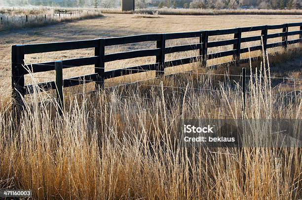 Farm Parete - Fotografie stock e altre immagini di Agricoltura - Agricoltura, Ambientazione esterna, Aurora