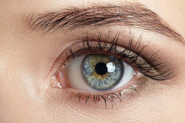 istock Close-up image of the human eye and eyebrow 471161010