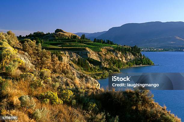 Okanagan Valley Winnica Wino - zdjęcia stockowe i więcej obrazów Naramata - British Columbia - Naramata - British Columbia, Bez ludzi, Brzeg jeziora