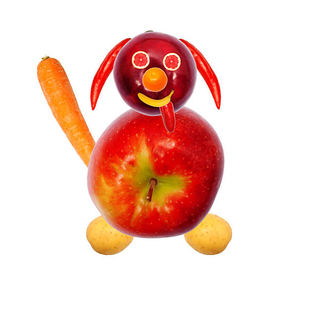 istock dog, made from fruits and vegetables 471161220