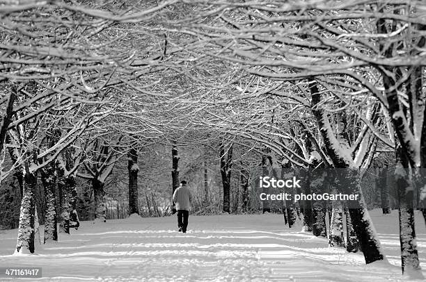 Avenida De Inverno E A - Fotografias de stock e mais imagens de Contemplação - Contemplação, Preto e Branco, Reclusão