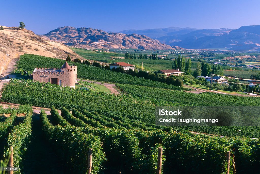 Vinha Vinícola vale de okanagan, na agricultura OsoyoosCity in British Columbia Canada - Royalty-free Castelo Foto de stock