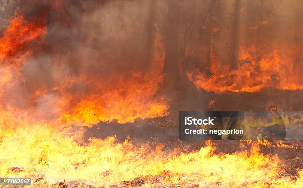 林猛火 - 写真のストックフォトや画像を多数ご用意 - 写真, 大火, 山火事