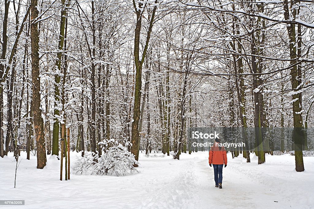 Im winter Park - Lizenzfrei Baum Stock-Foto