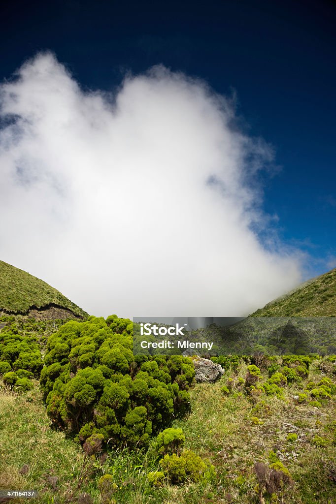 Pico Mountain View View from Mount Pico with amazing volcanic vegetation and beautiful cloudscape. Atlantic Islands Stock Photo