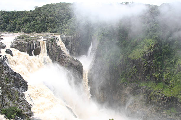 cascatas - cairns monsoon queensland waterfall imagens e fotografias de stock