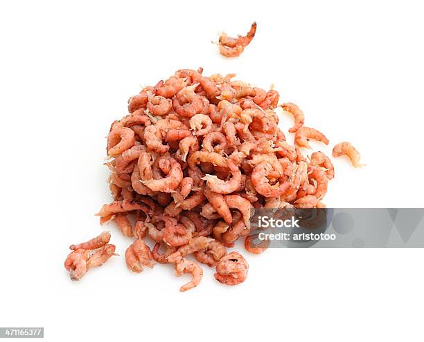 Nordseekrabben Brown Shrimps Isoliert Auf Weiss Stockfoto und mehr Bilder von Garnele - Meeresfrucht - Garnele - Meeresfrucht, Klein, Shrimp - Meeresfrucht