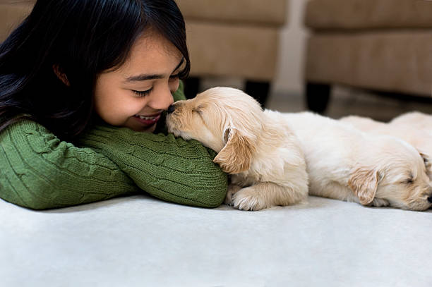 little girl whit un cachorro - joy golden retriever retriever dog fotografías e imágenes de stock