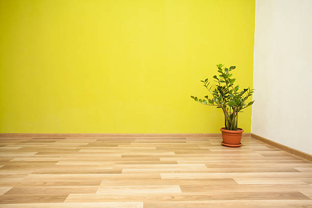 istock Plant in green room 471165560