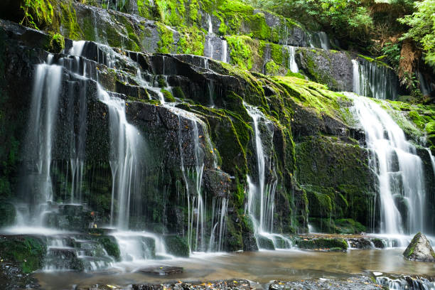 istock Waterfall in New Zealand's rainforest 471165705