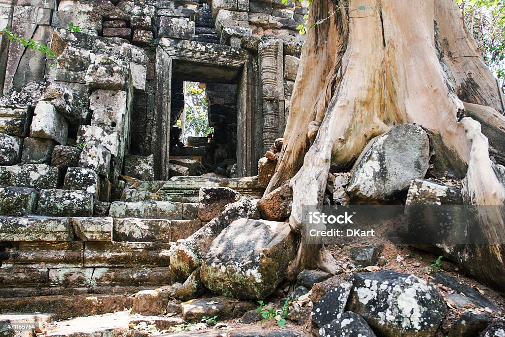 Ta Prohm. Angkor Wat Tourist in Ta Prohm Temple. Siem Reap, Cambodia 2015 Stock Photo