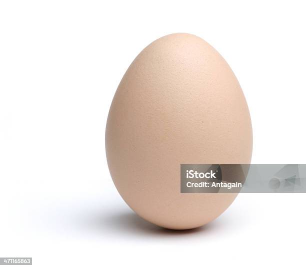Один Яйцо — стоковые фотографии и другие картинки Белый фон - Белый фон, Варёное яйцо, Без людей