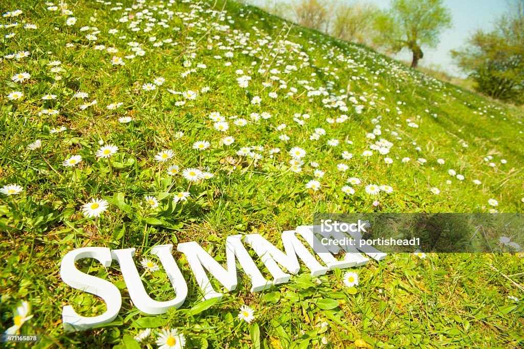 Word Summer The word Summer with white letters and green field with daisy flowers background. 2015 Stock Photo